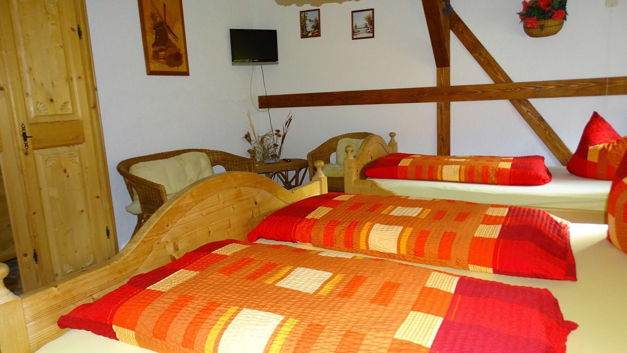 Ferienwohnung-Wasserlaeufer Mulde Экстерьер фото