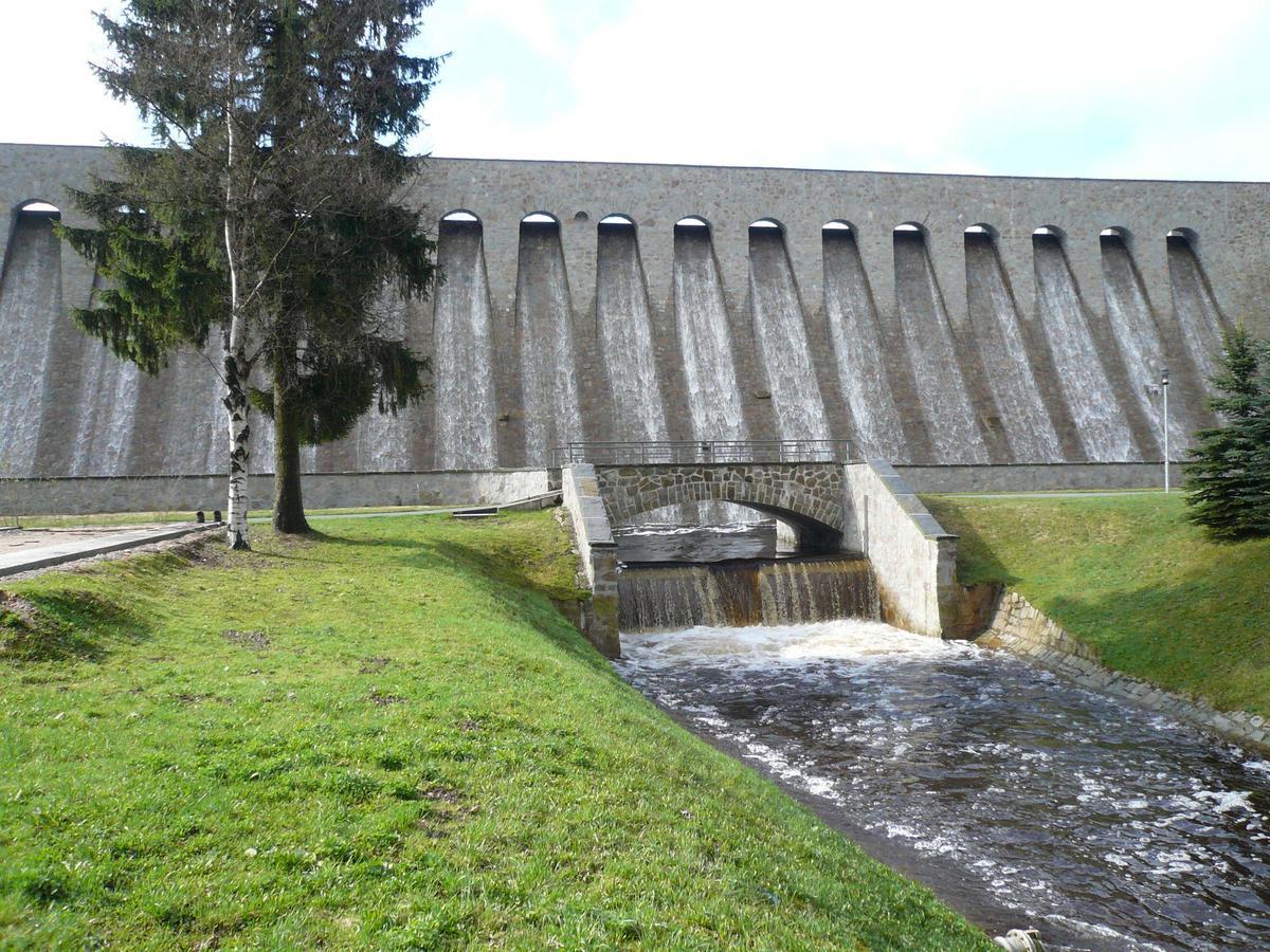 Ferienwohnung-Wasserlaeufer Mulde Экстерьер фото